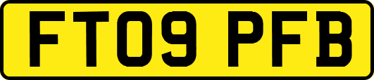 FT09PFB