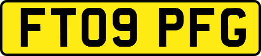 FT09PFG