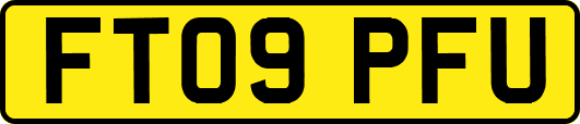 FT09PFU