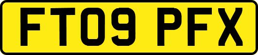 FT09PFX