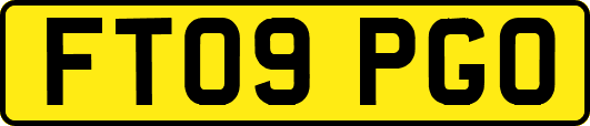FT09PGO