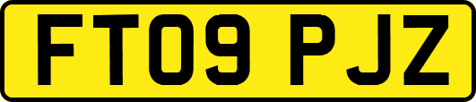 FT09PJZ