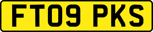 FT09PKS