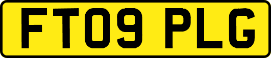 FT09PLG