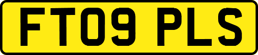 FT09PLS