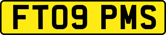 FT09PMS
