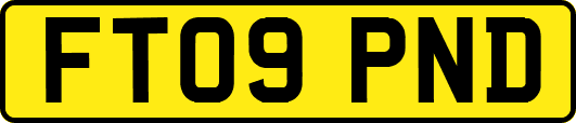 FT09PND