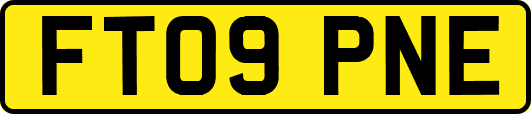 FT09PNE