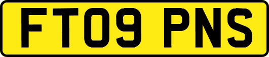 FT09PNS