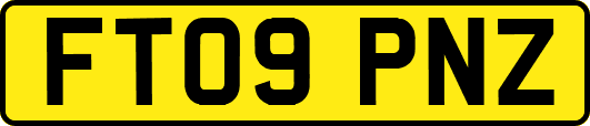 FT09PNZ