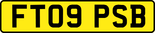 FT09PSB