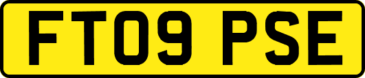 FT09PSE