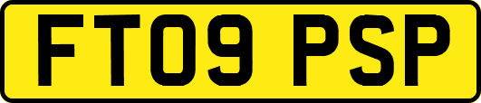 FT09PSP