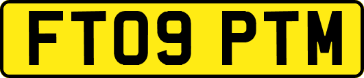 FT09PTM