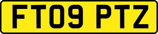 FT09PTZ
