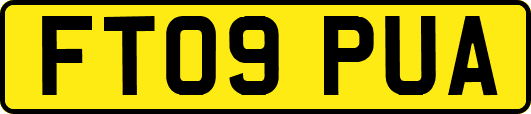 FT09PUA