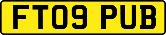 FT09PUB