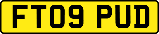 FT09PUD