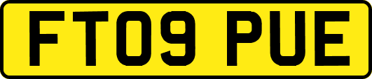 FT09PUE