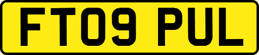 FT09PUL