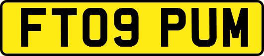 FT09PUM