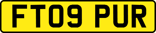 FT09PUR