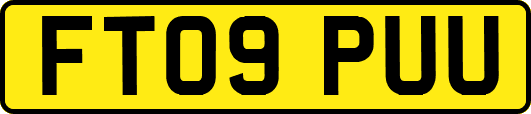 FT09PUU