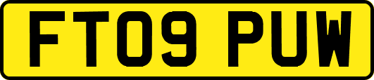 FT09PUW
