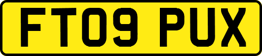 FT09PUX