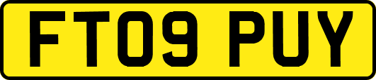 FT09PUY