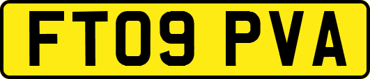 FT09PVA