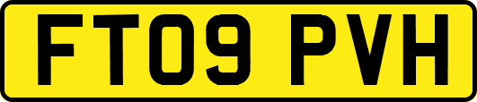 FT09PVH