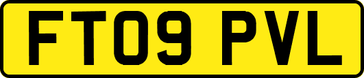 FT09PVL