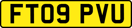 FT09PVU