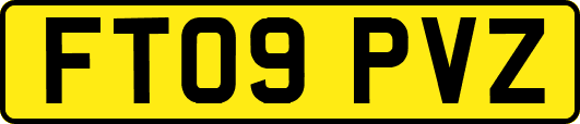 FT09PVZ