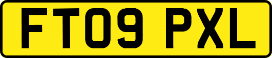 FT09PXL