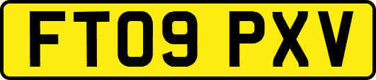 FT09PXV