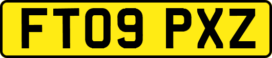 FT09PXZ