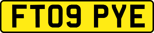 FT09PYE