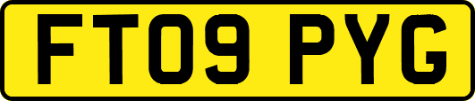 FT09PYG