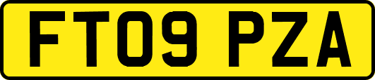 FT09PZA