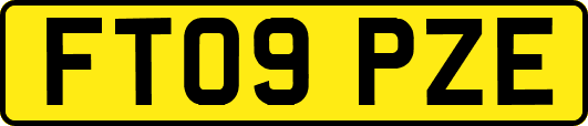 FT09PZE