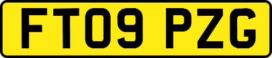 FT09PZG