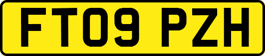 FT09PZH