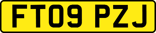 FT09PZJ