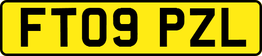 FT09PZL