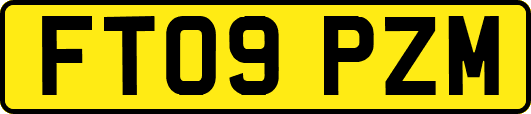 FT09PZM