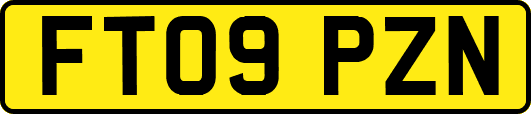 FT09PZN