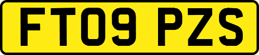 FT09PZS