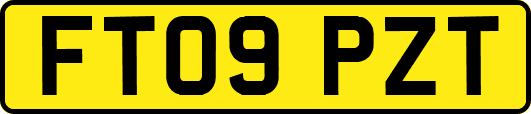 FT09PZT
